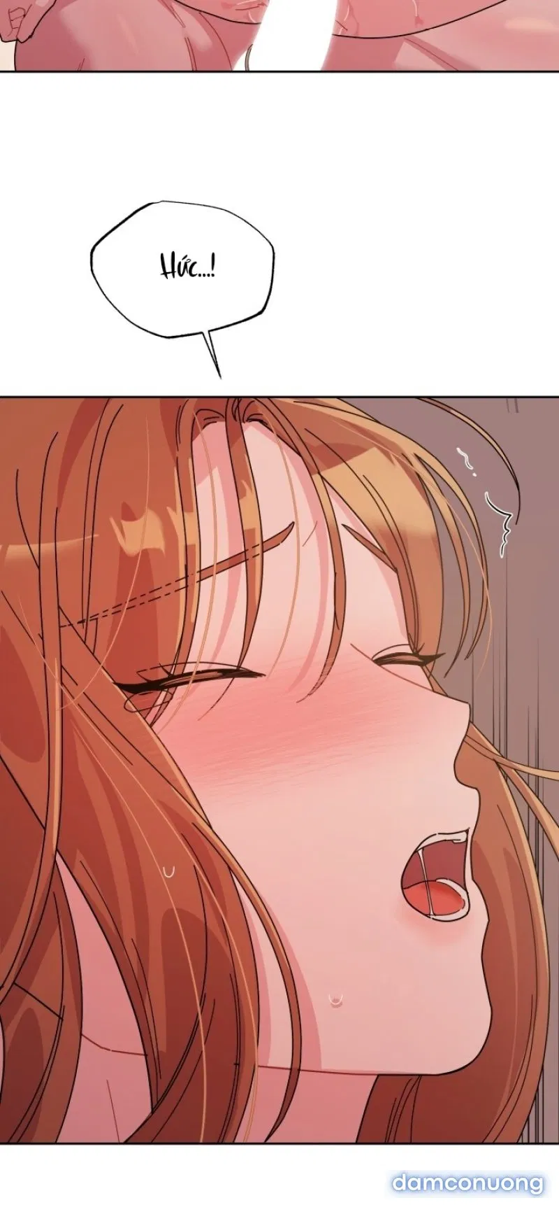 [18+] XX ARCHIVE 
