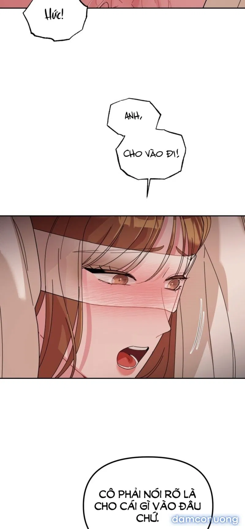 [18+] XX ARCHIVE 