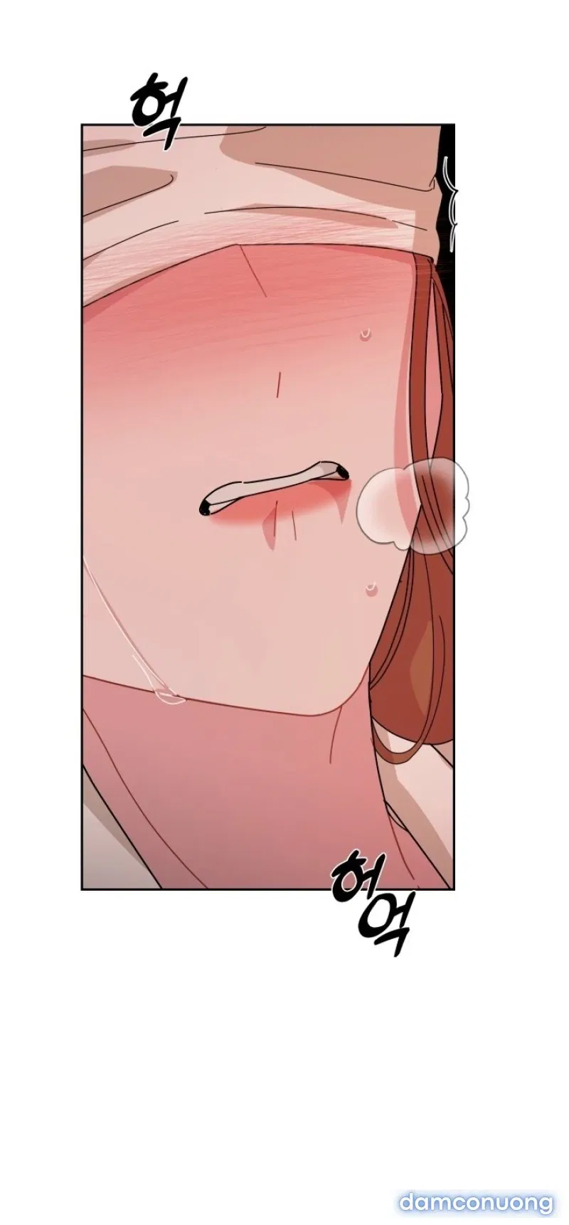 [18+] XX ARCHIVE 