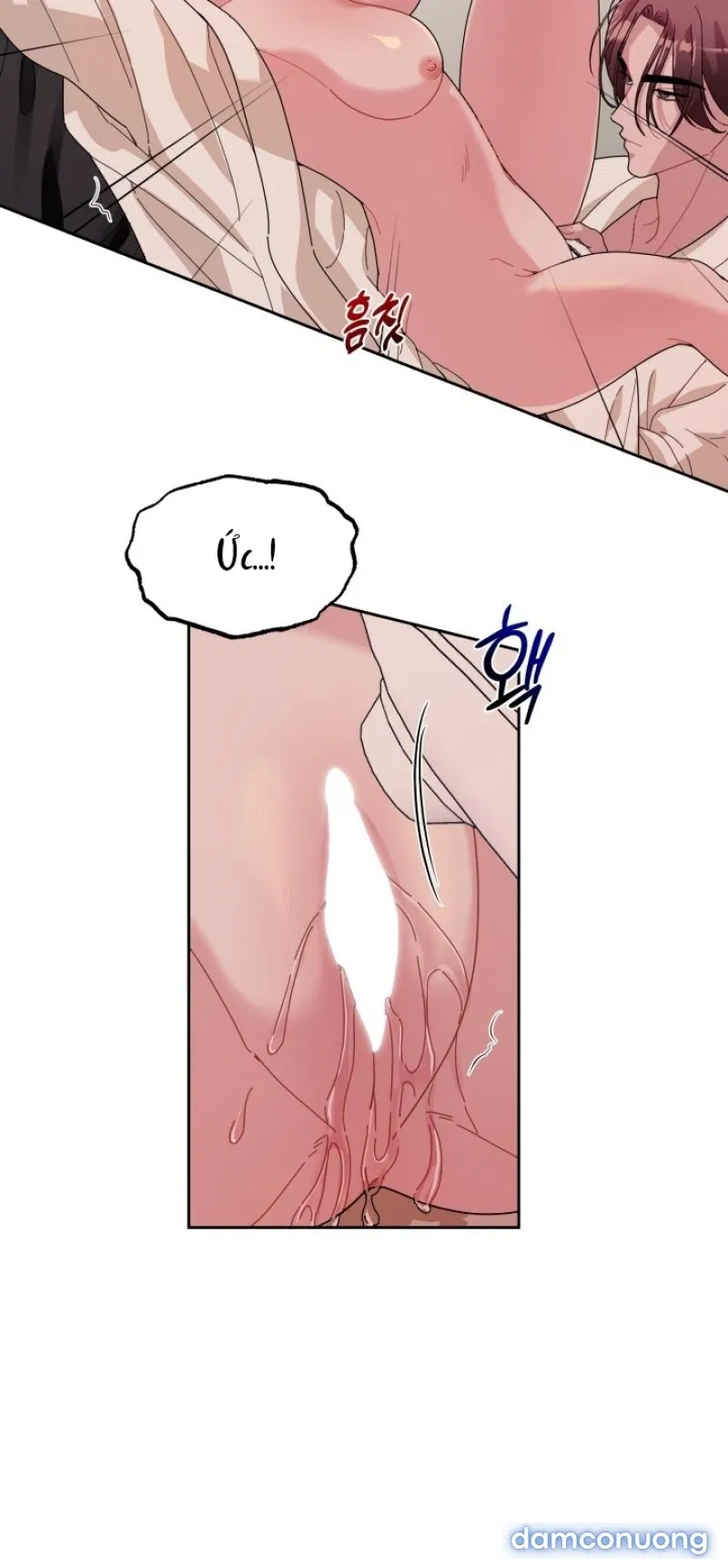 [18+] XX ARCHIVE 