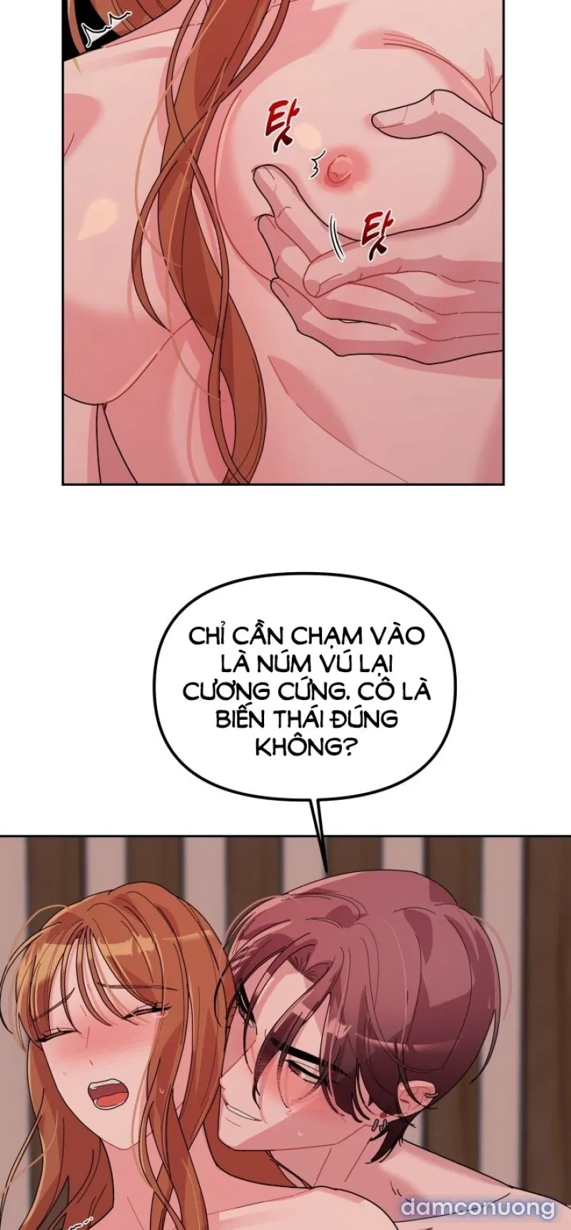 [18+] XX ARCHIVE 