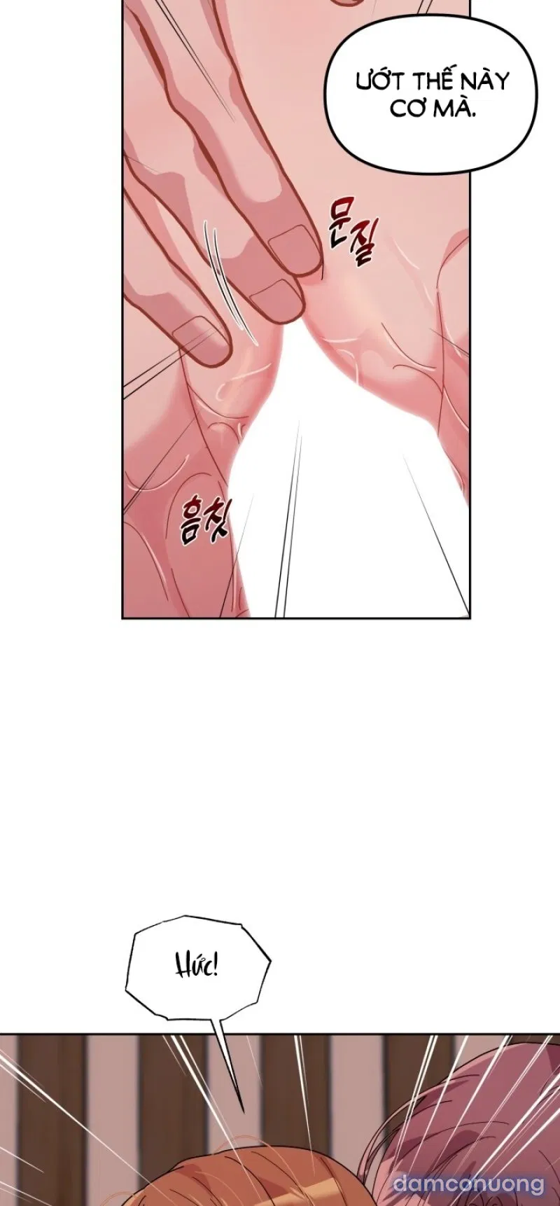 [18+] XX ARCHIVE 