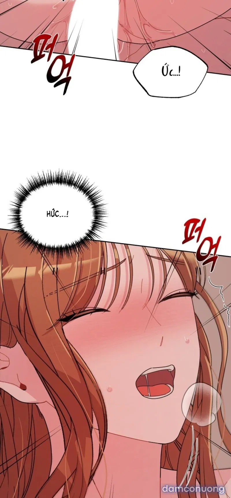 [18+] XX ARCHIVE 