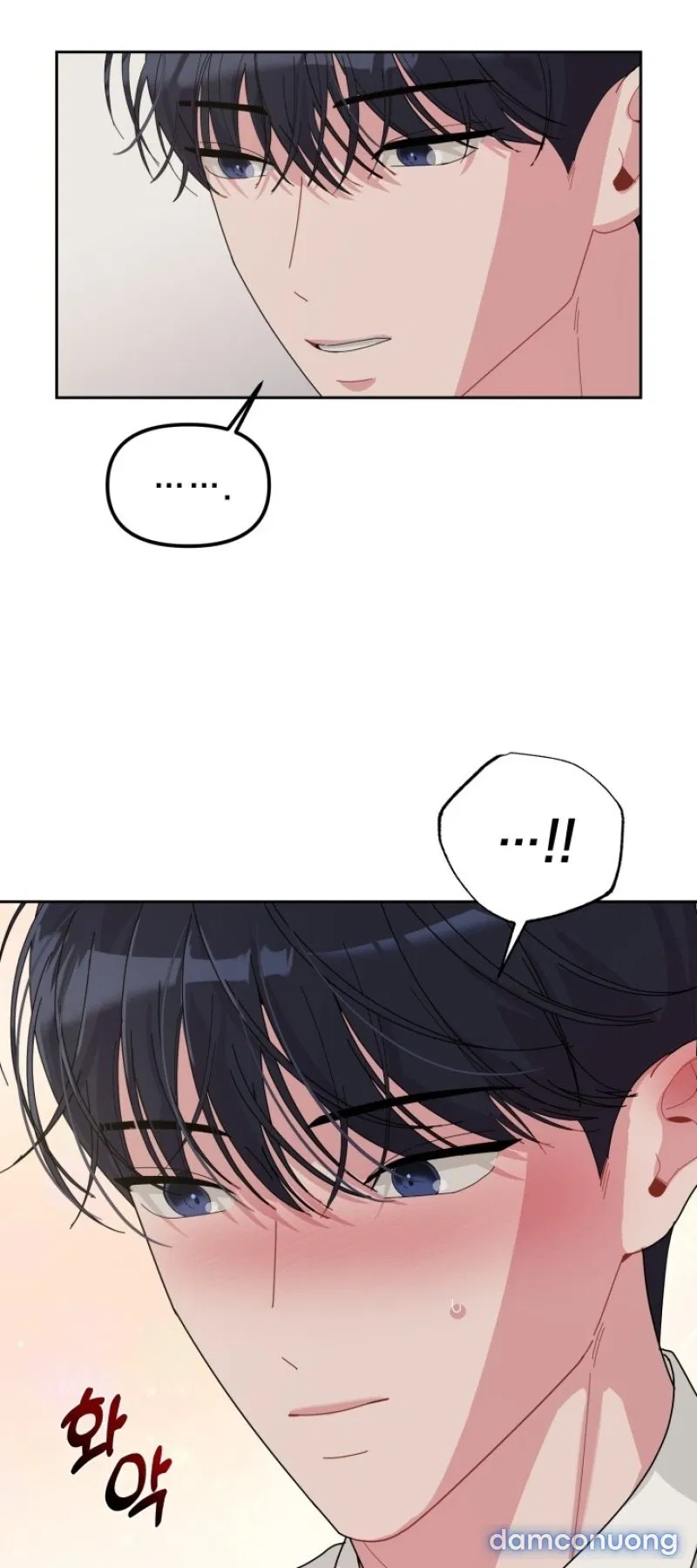 [18+] XX ARCHIVE 