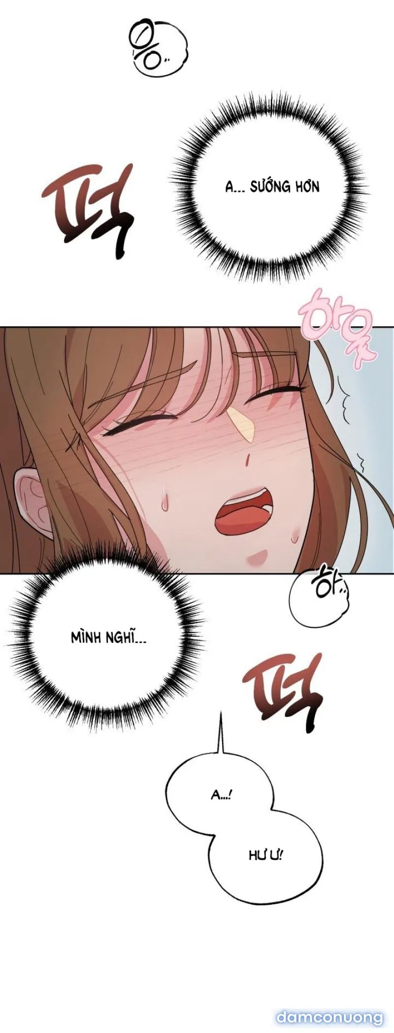 [18+] XX ARCHIVE 
