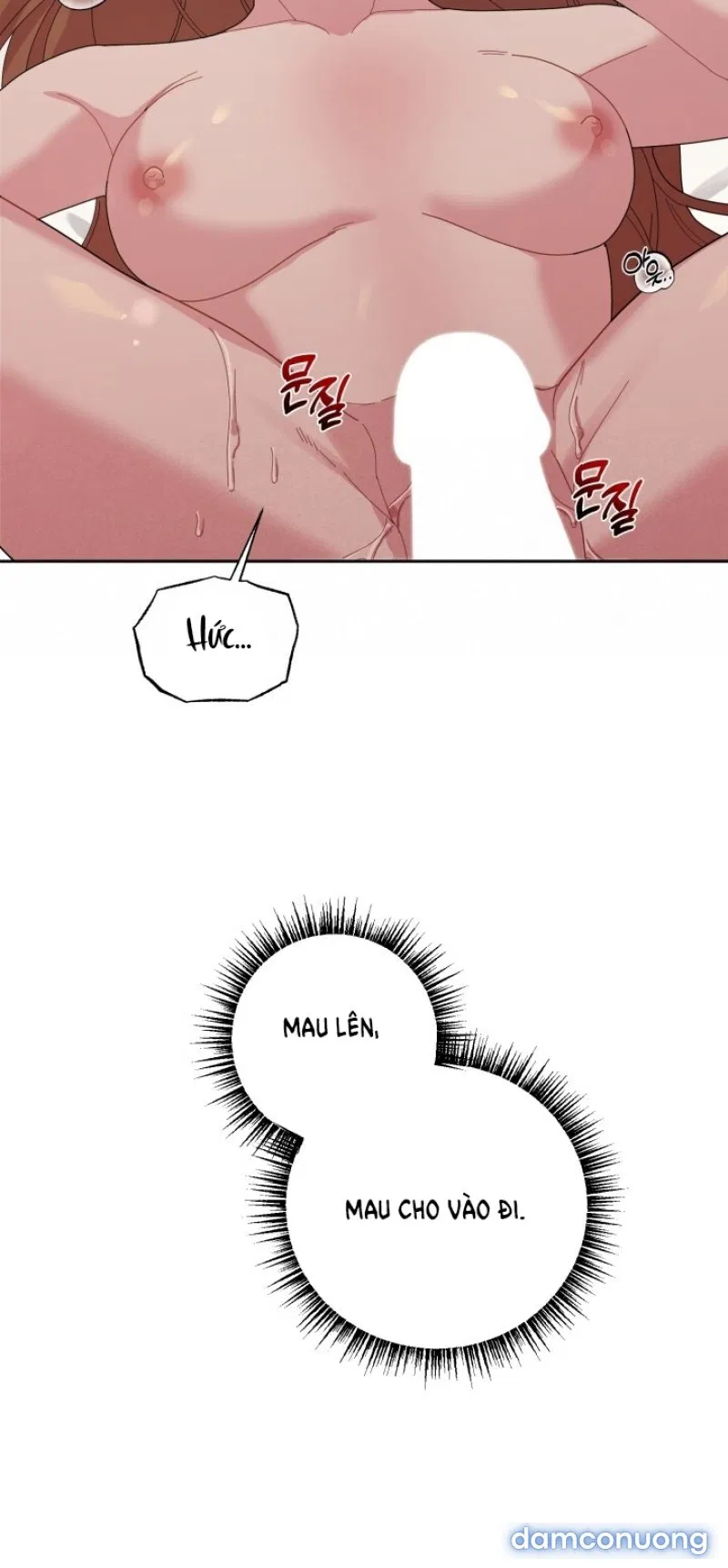 [18+] XX ARCHIVE 
