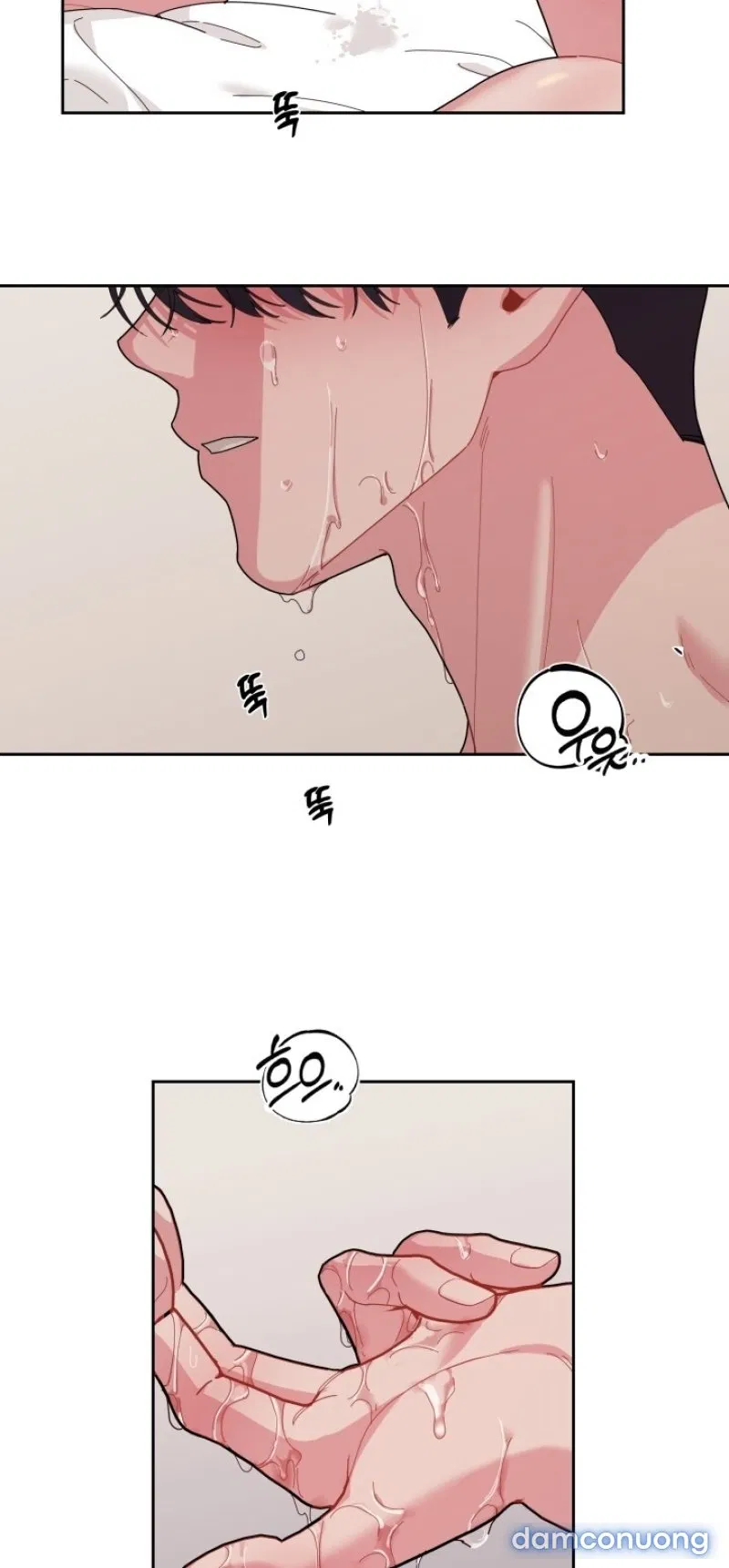 [18+] XX ARCHIVE 