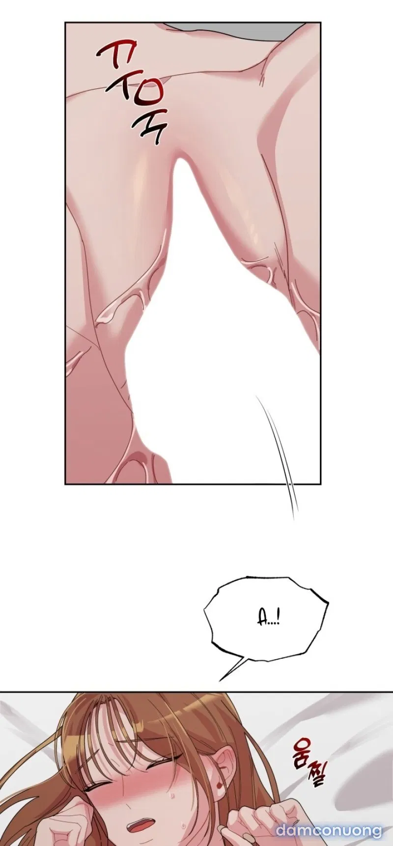[18+] XX ARCHIVE 