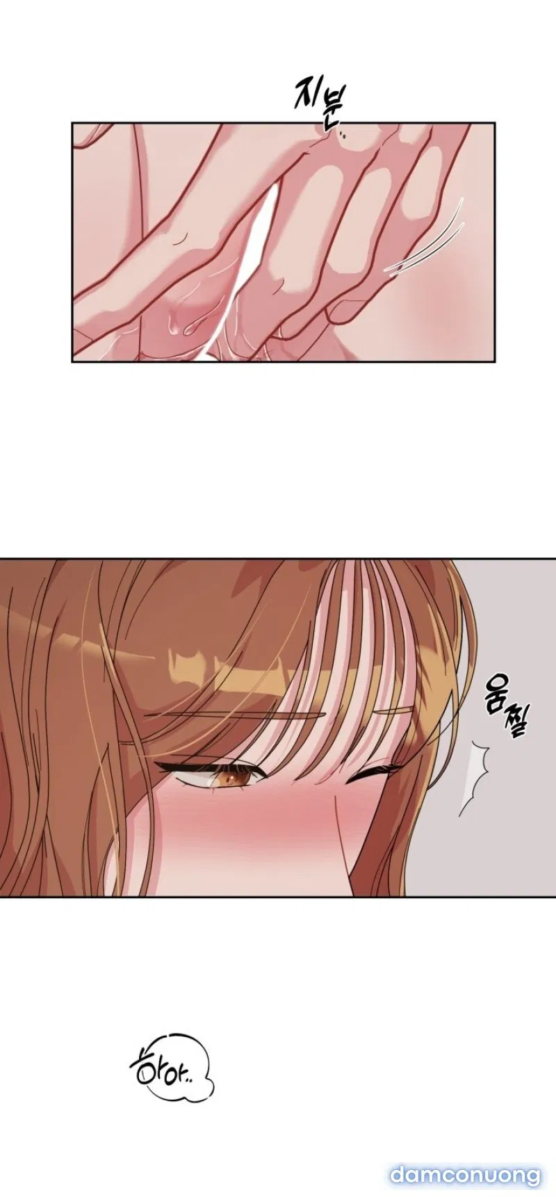 [18+] XX ARCHIVE 