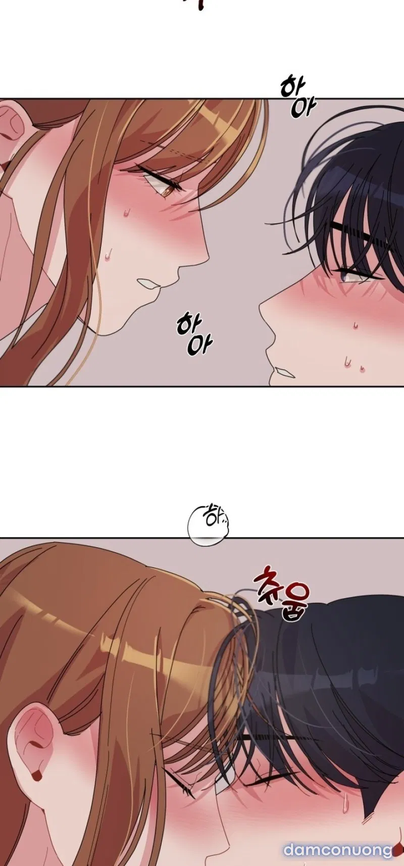 [18+] XX ARCHIVE 