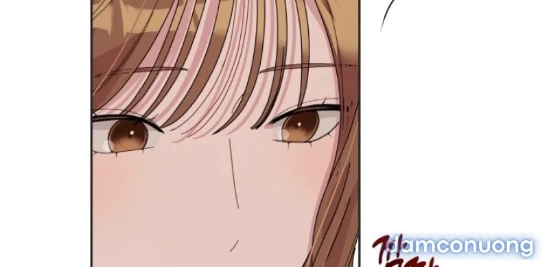 [18+] XX ARCHIVE 