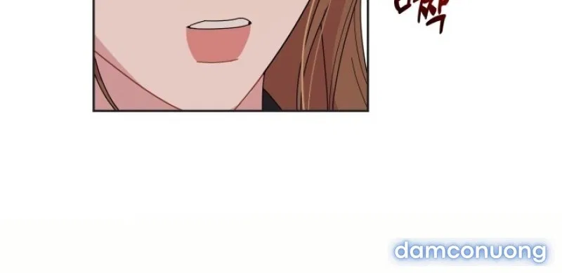 [18+] XX ARCHIVE 