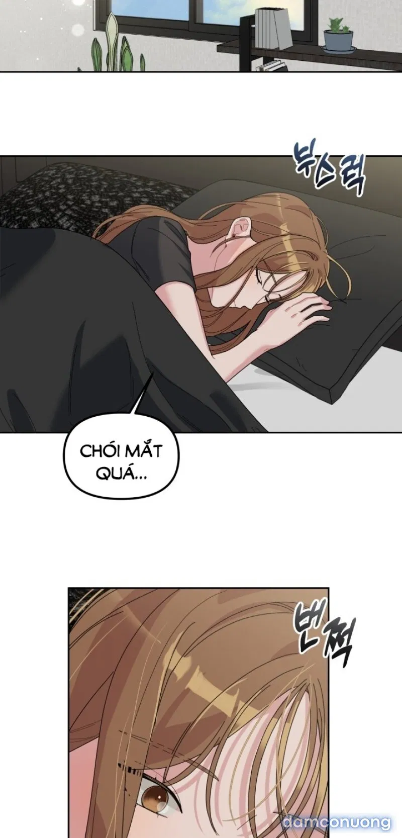 [18+] XX ARCHIVE 