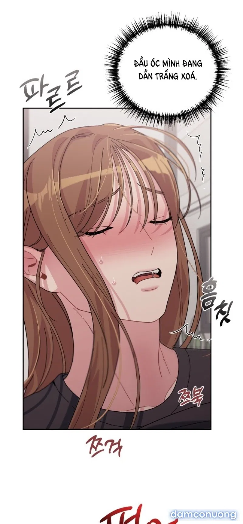 [18+] XX ARCHIVE 