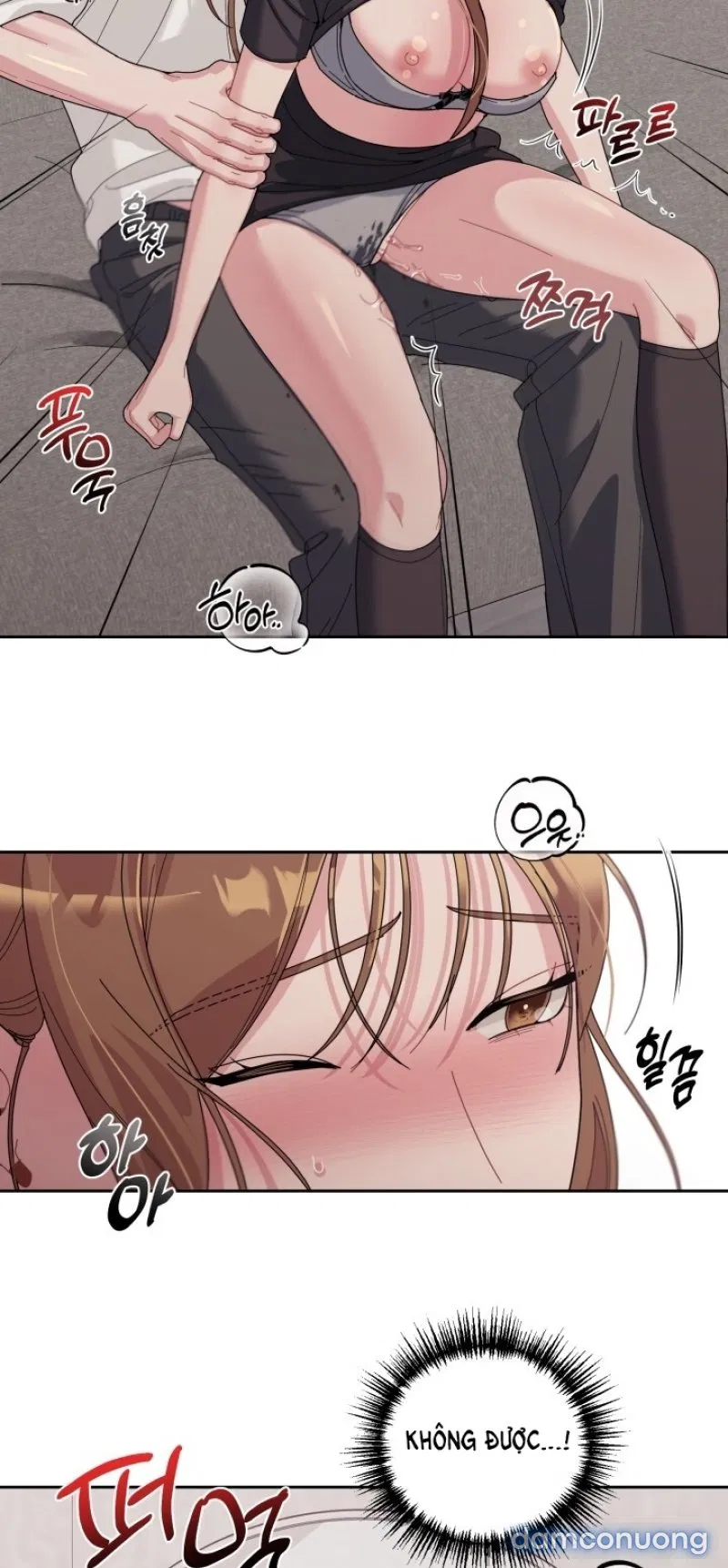 [18+] XX ARCHIVE 