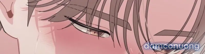 [18+] XX ARCHIVE 