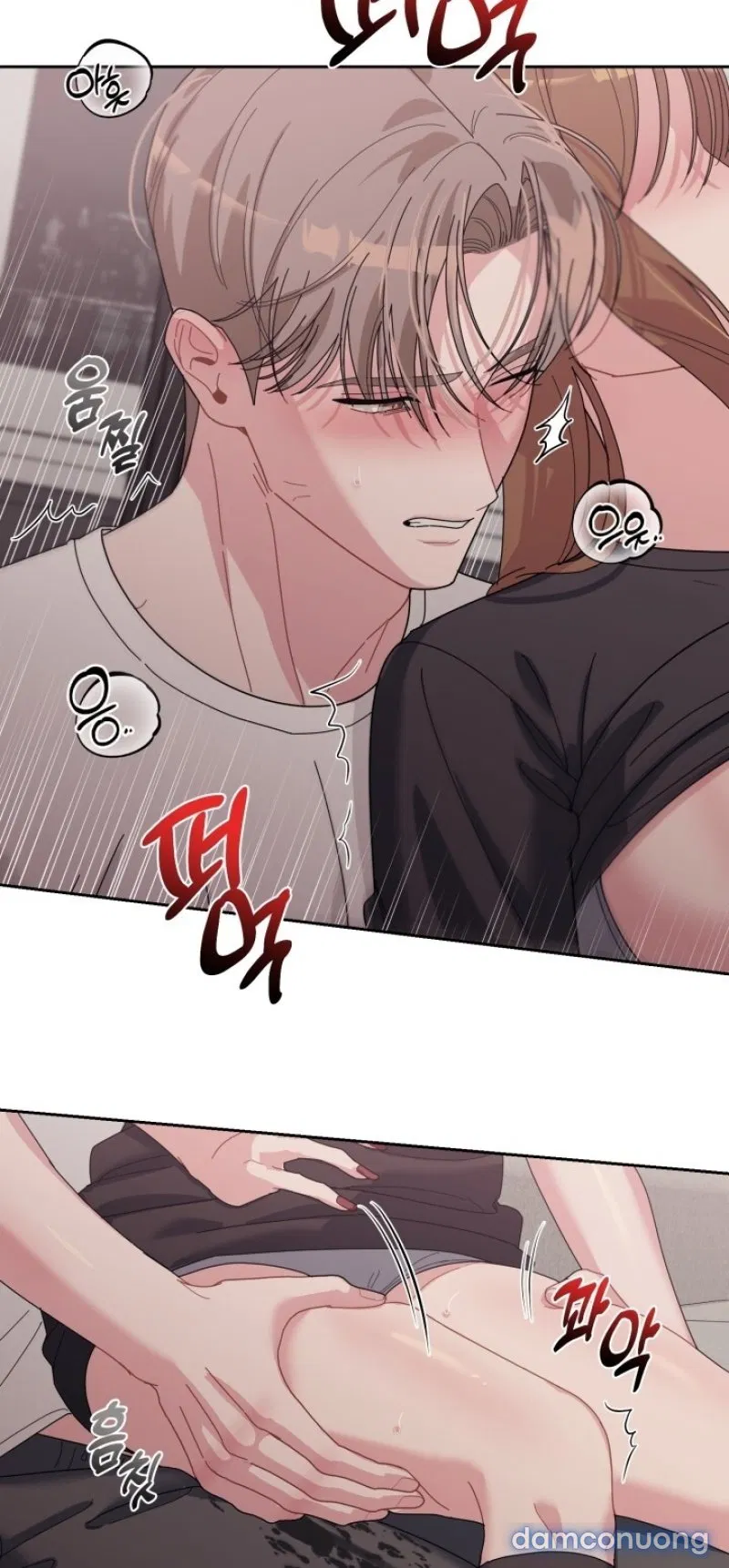 [18+] XX ARCHIVE 