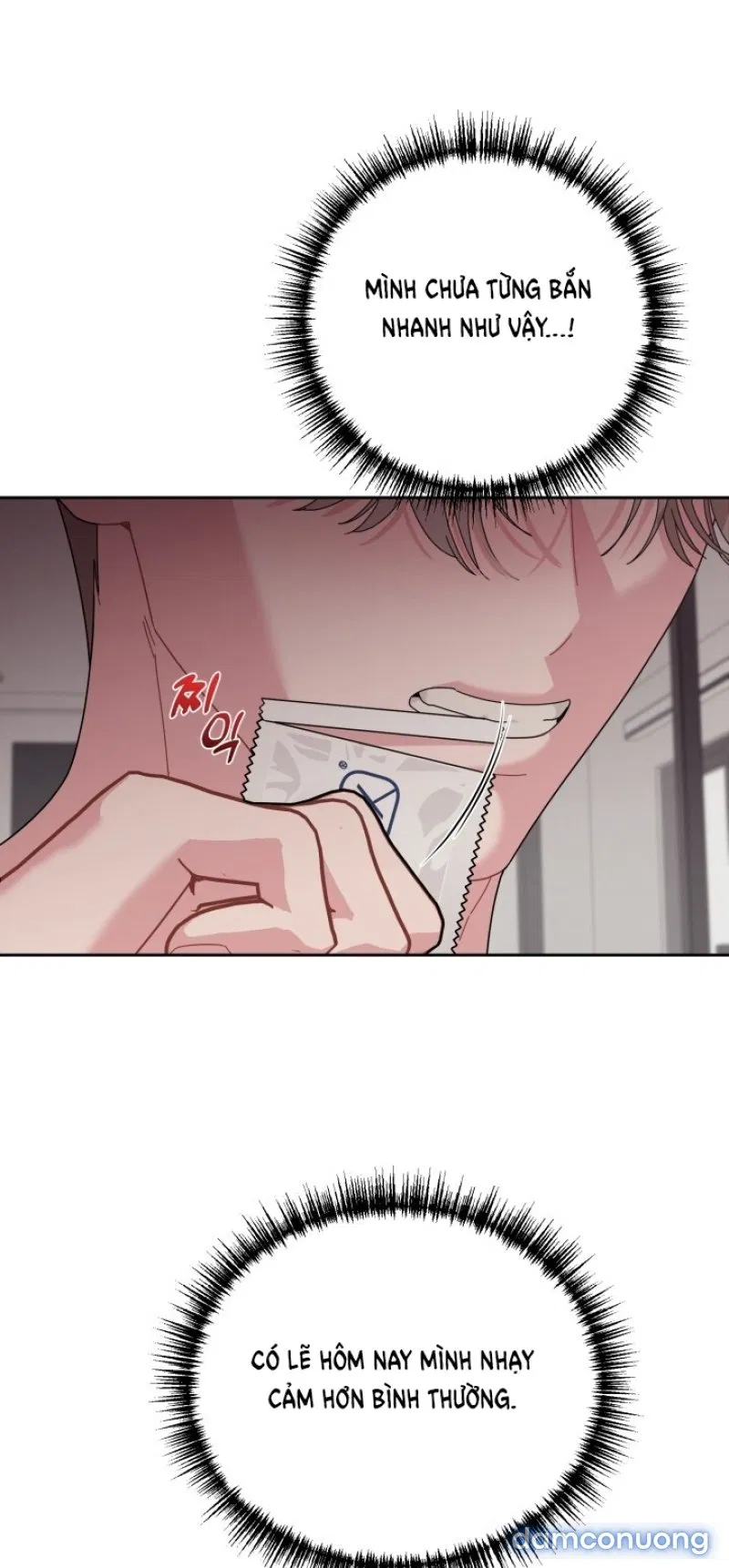 [18+] XX ARCHIVE 