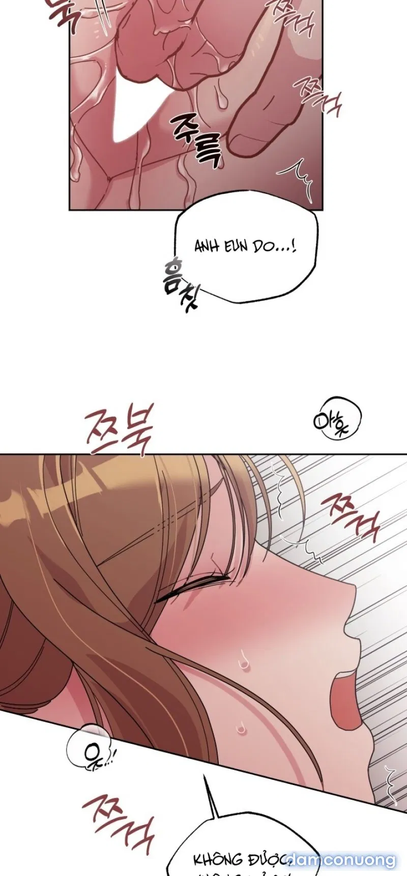 [18+] XX ARCHIVE 