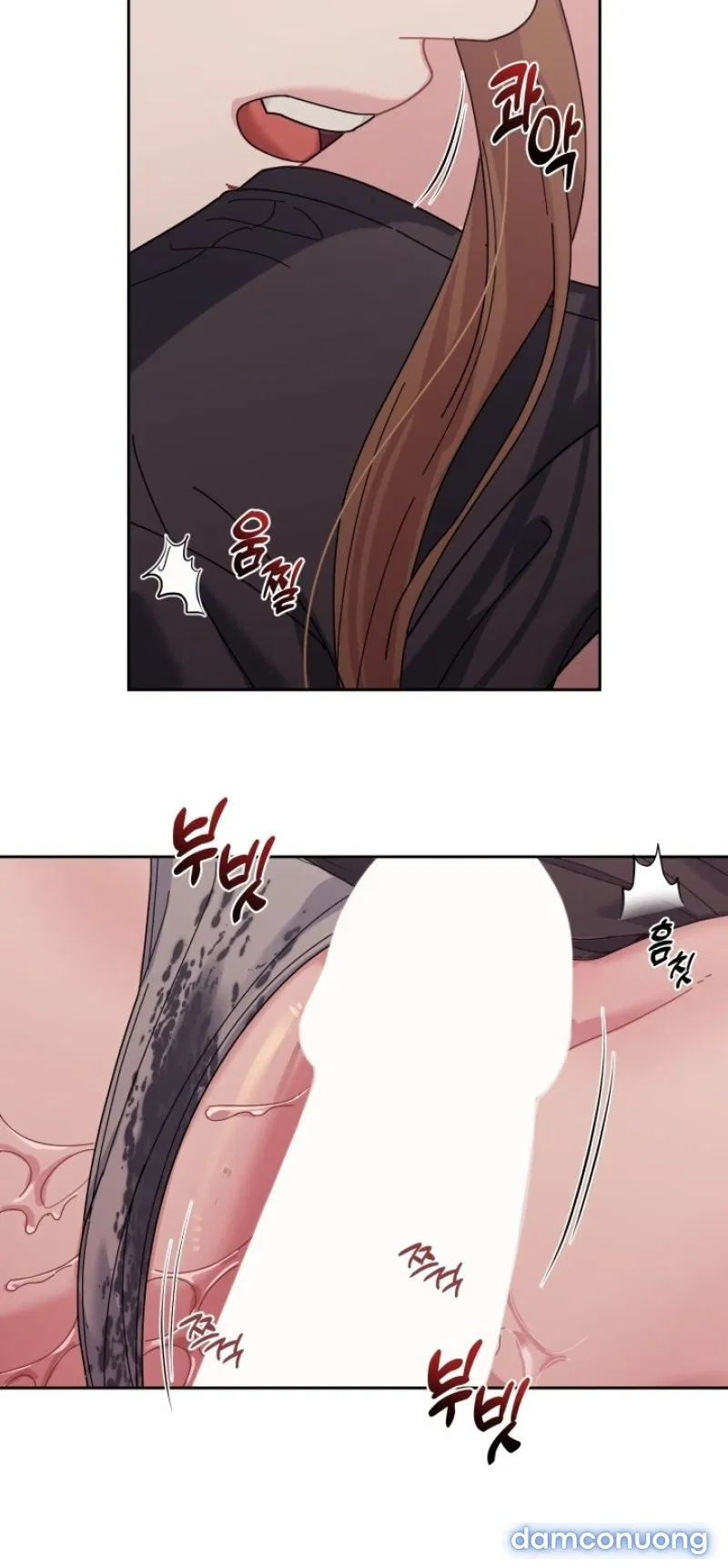 [18+] XX ARCHIVE 