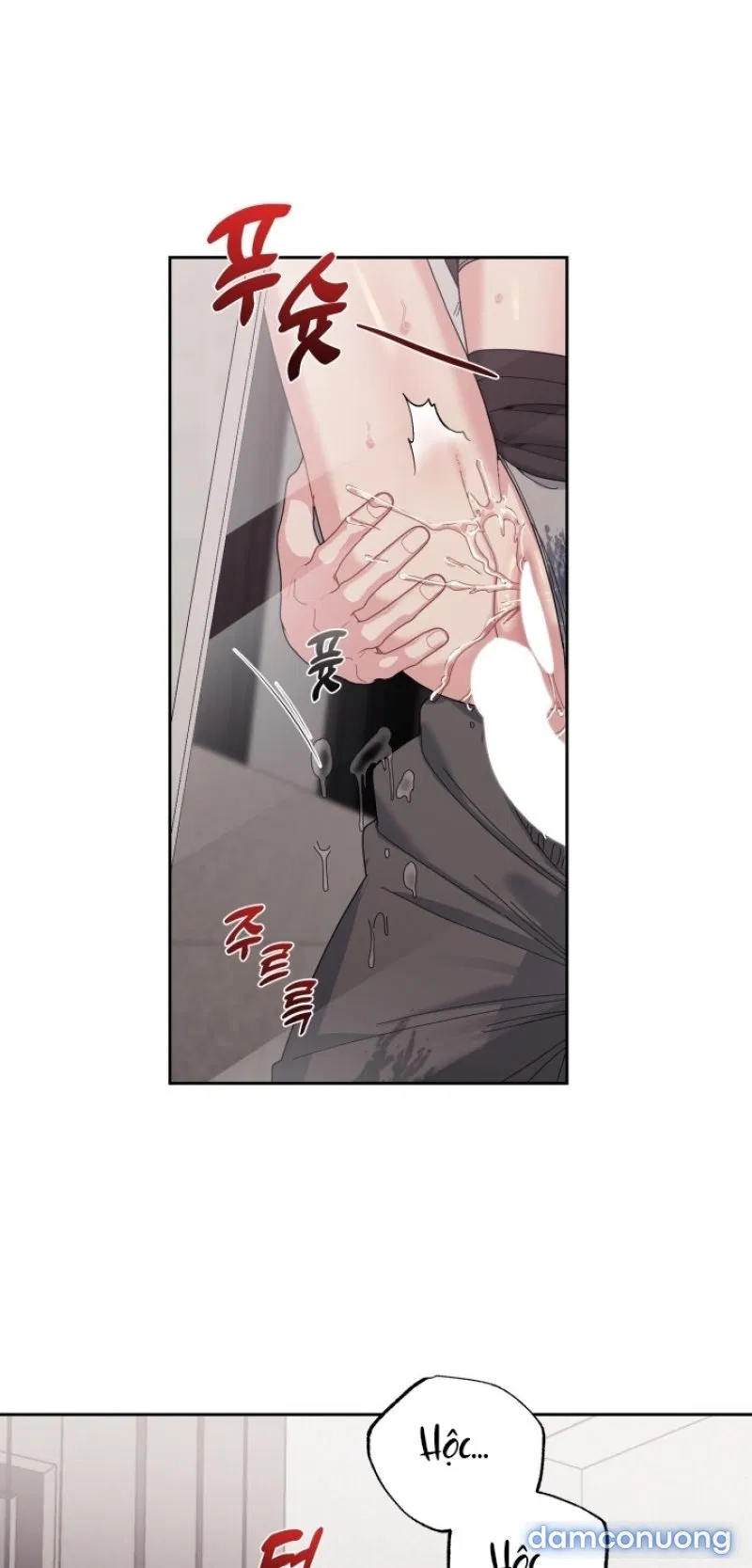 [18+] XX ARCHIVE 