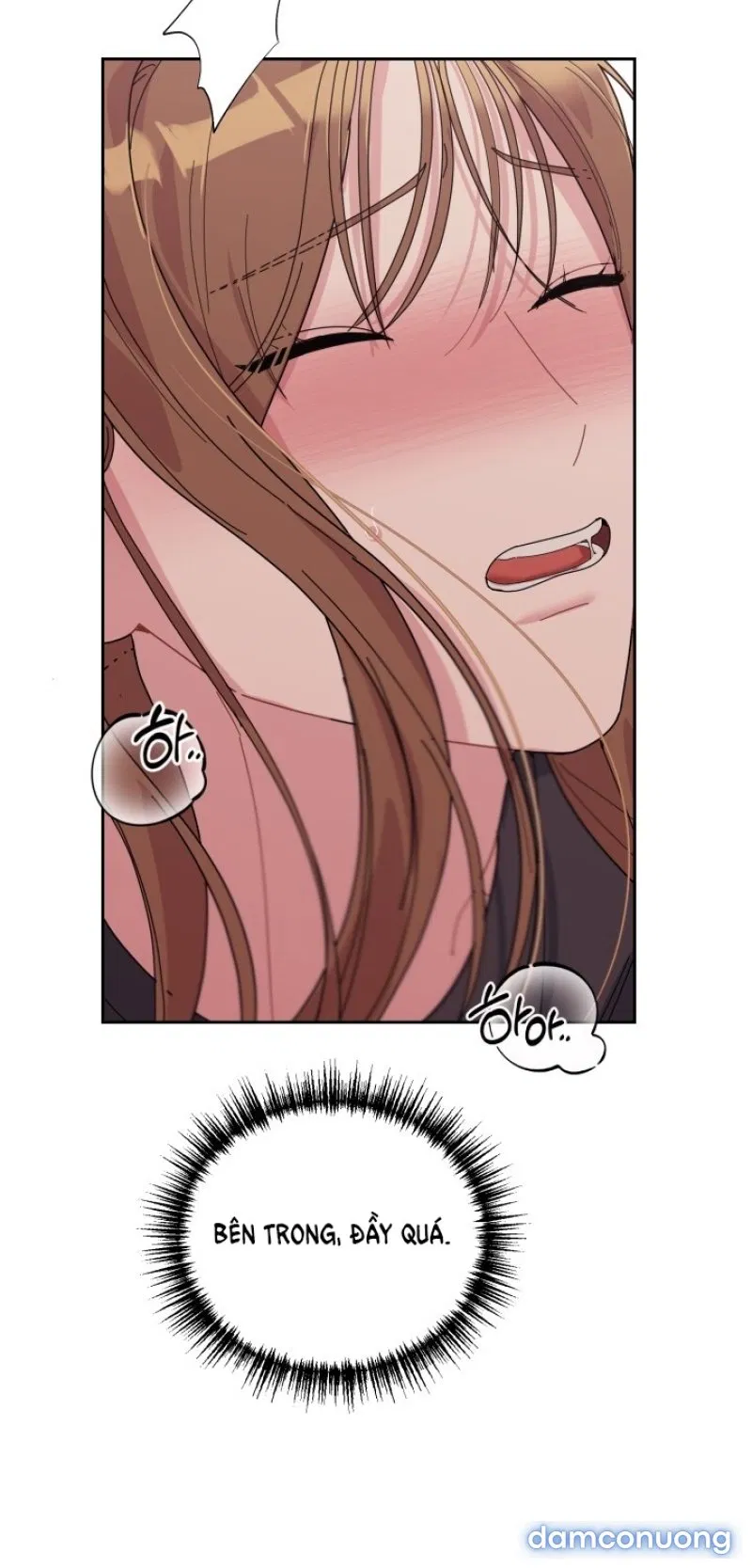 [18+] XX ARCHIVE 