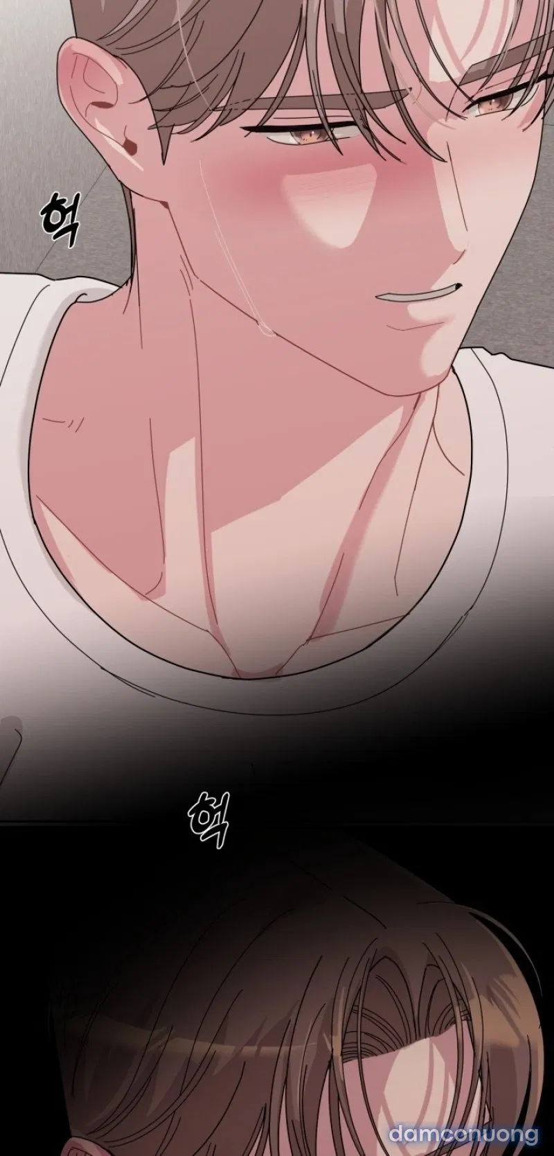 [18+] XX ARCHIVE 