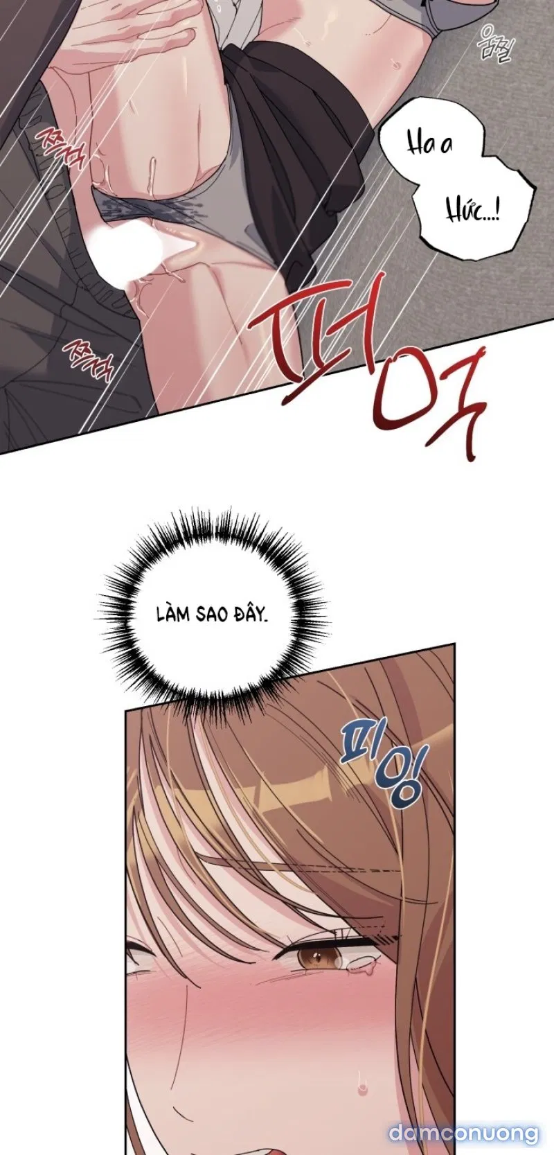 [18+] XX ARCHIVE 