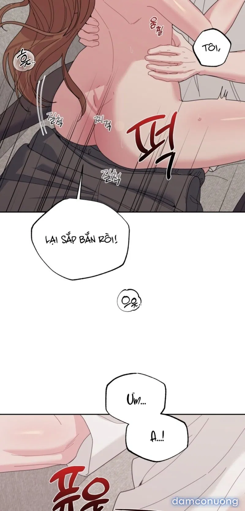[18+] XX ARCHIVE 