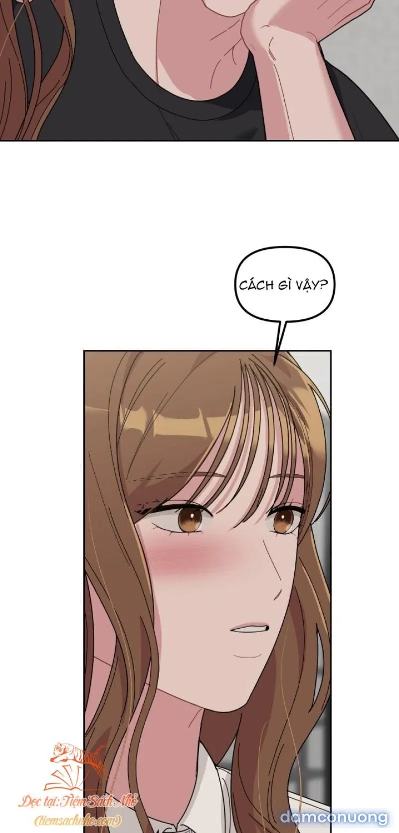 [18+] XX ARCHIVE 