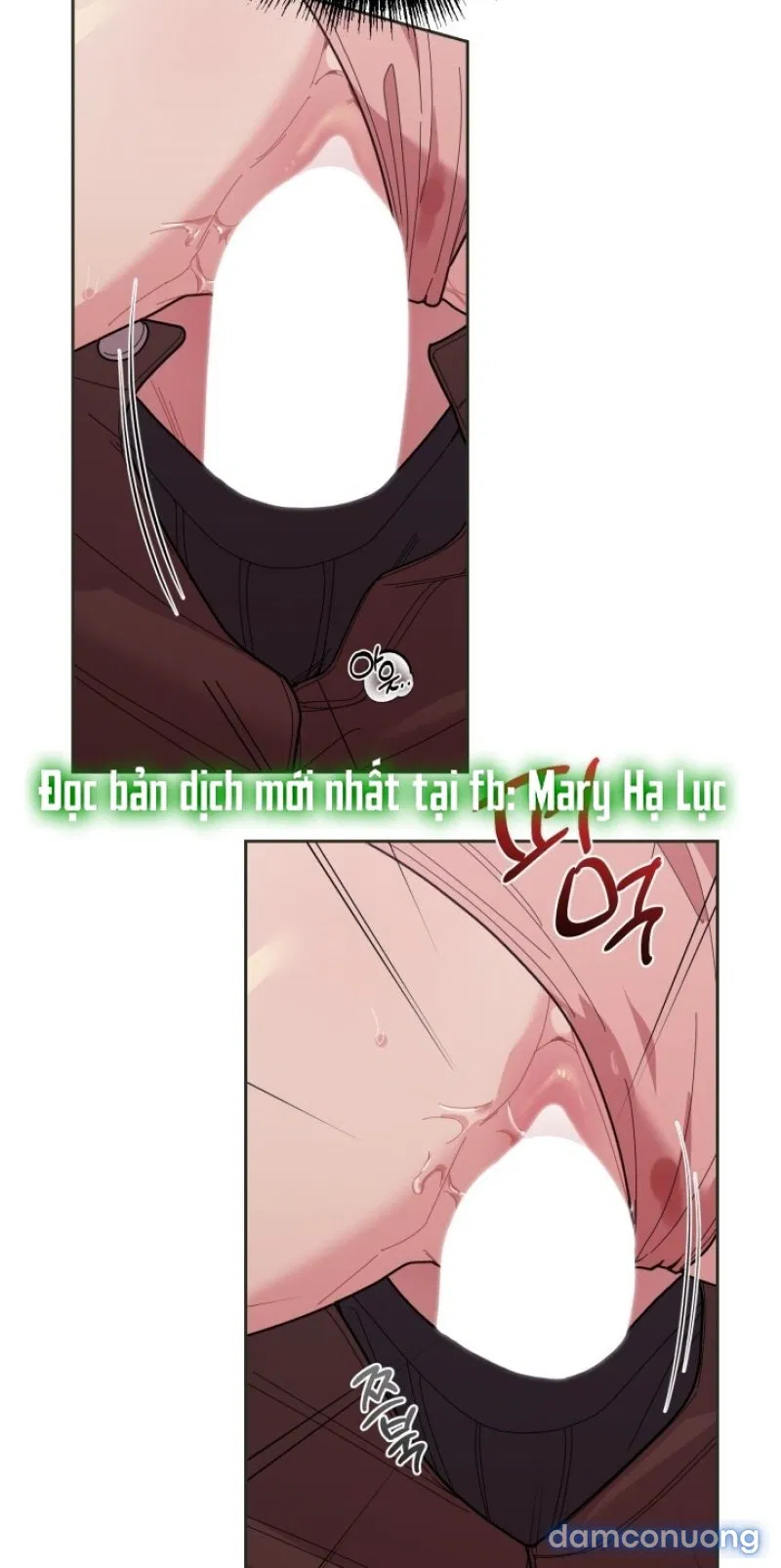 [18+] XX ARCHIVE 