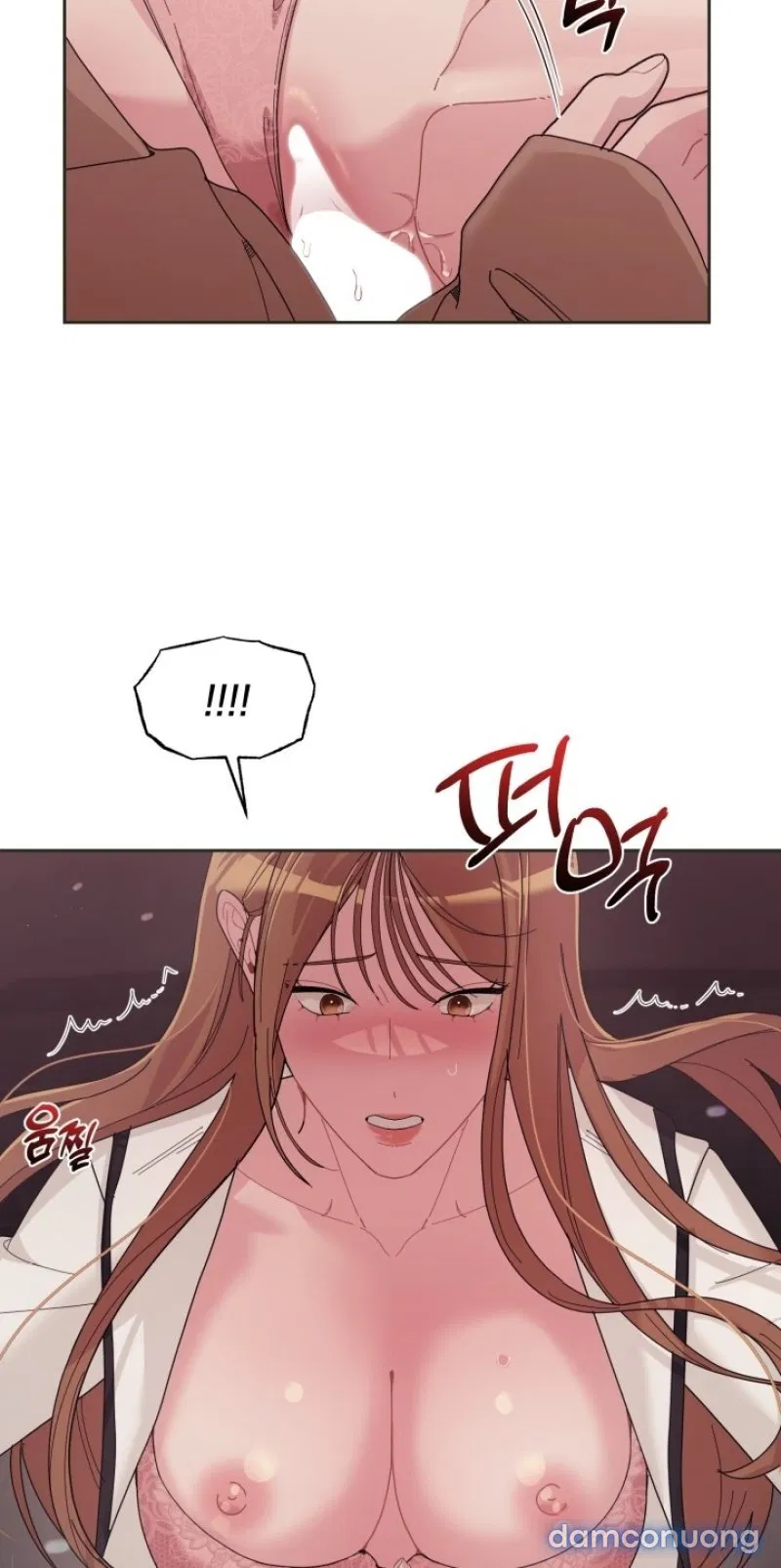 [18+] XX ARCHIVE 