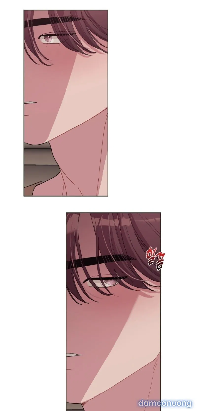 [18+] XX ARCHIVE 