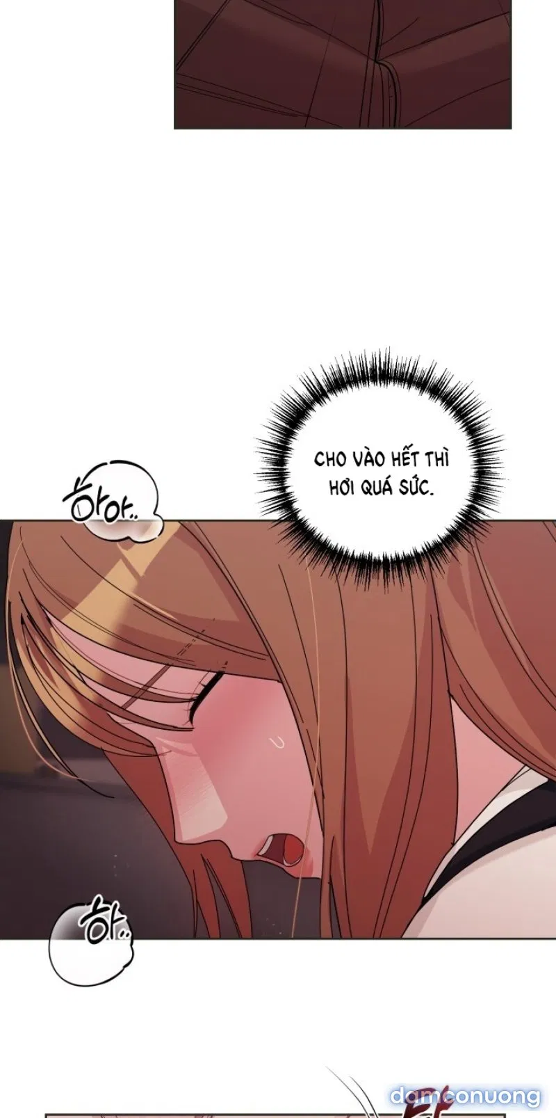 [18+] XX ARCHIVE 