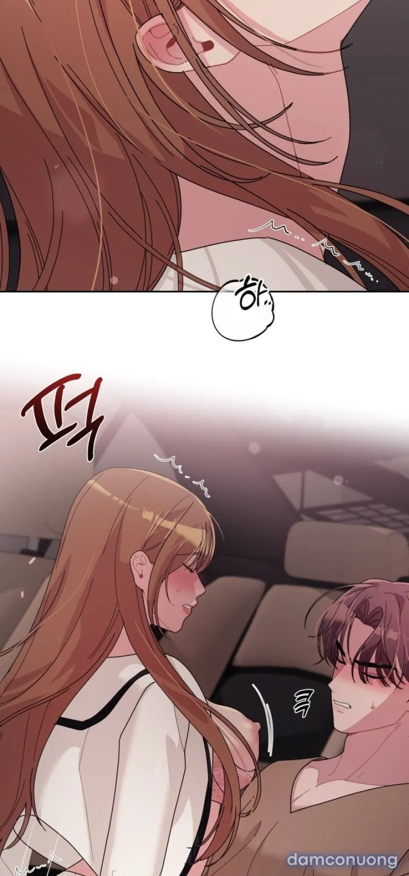 [18+] XX ARCHIVE 