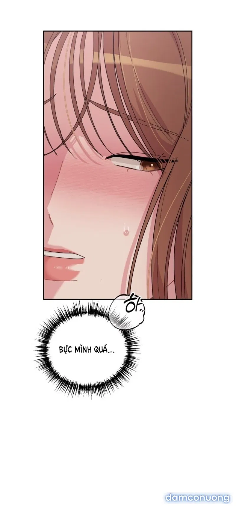 [18+] XX ARCHIVE 