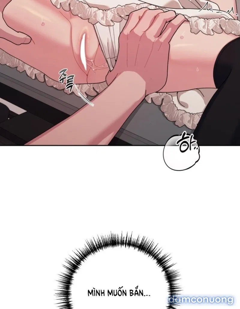 [18+] XX ARCHIVE 