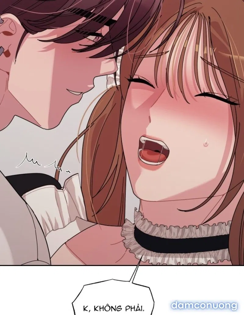[18+] XX ARCHIVE 