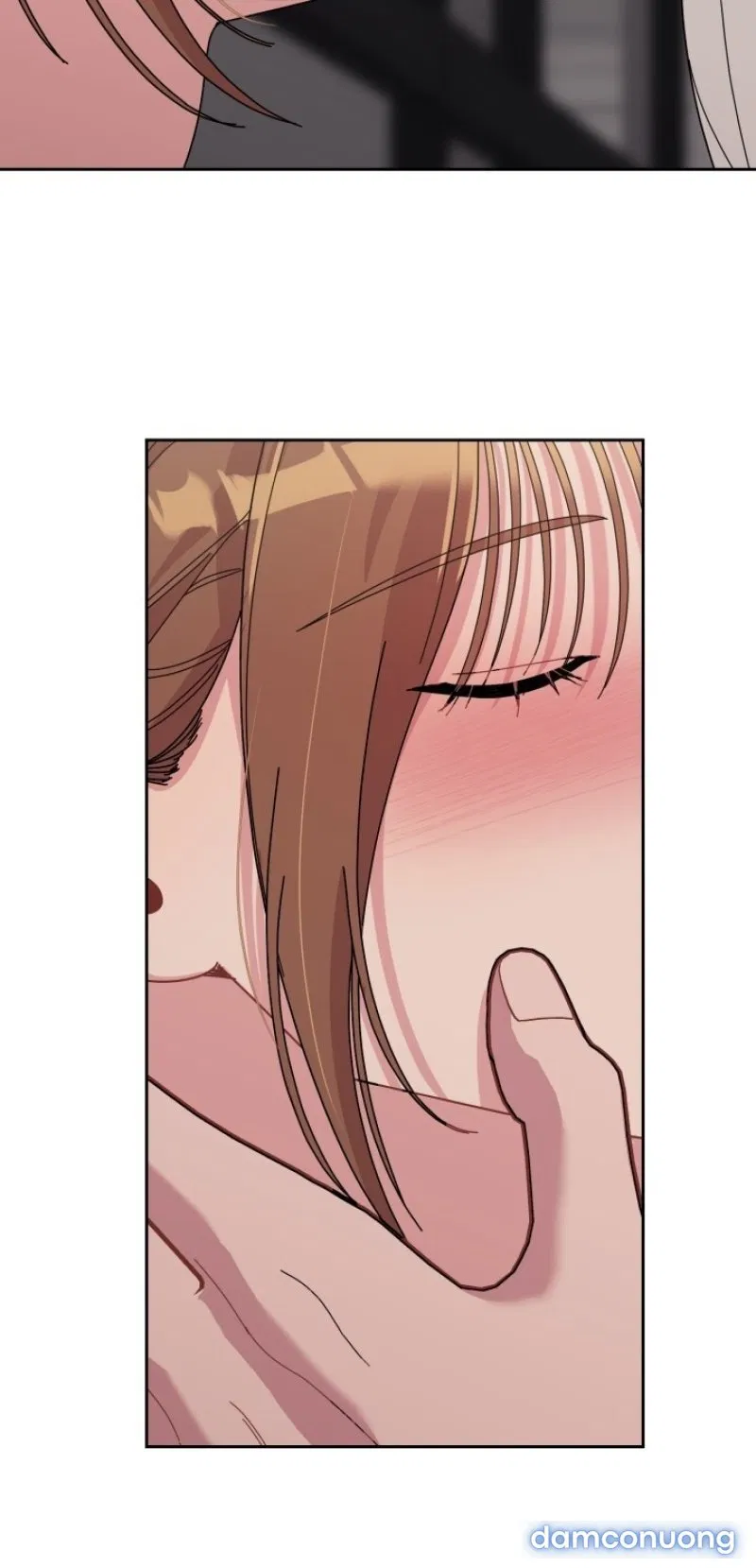[18+] XX ARCHIVE 