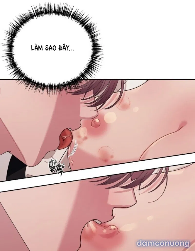 [18+] XX ARCHIVE 