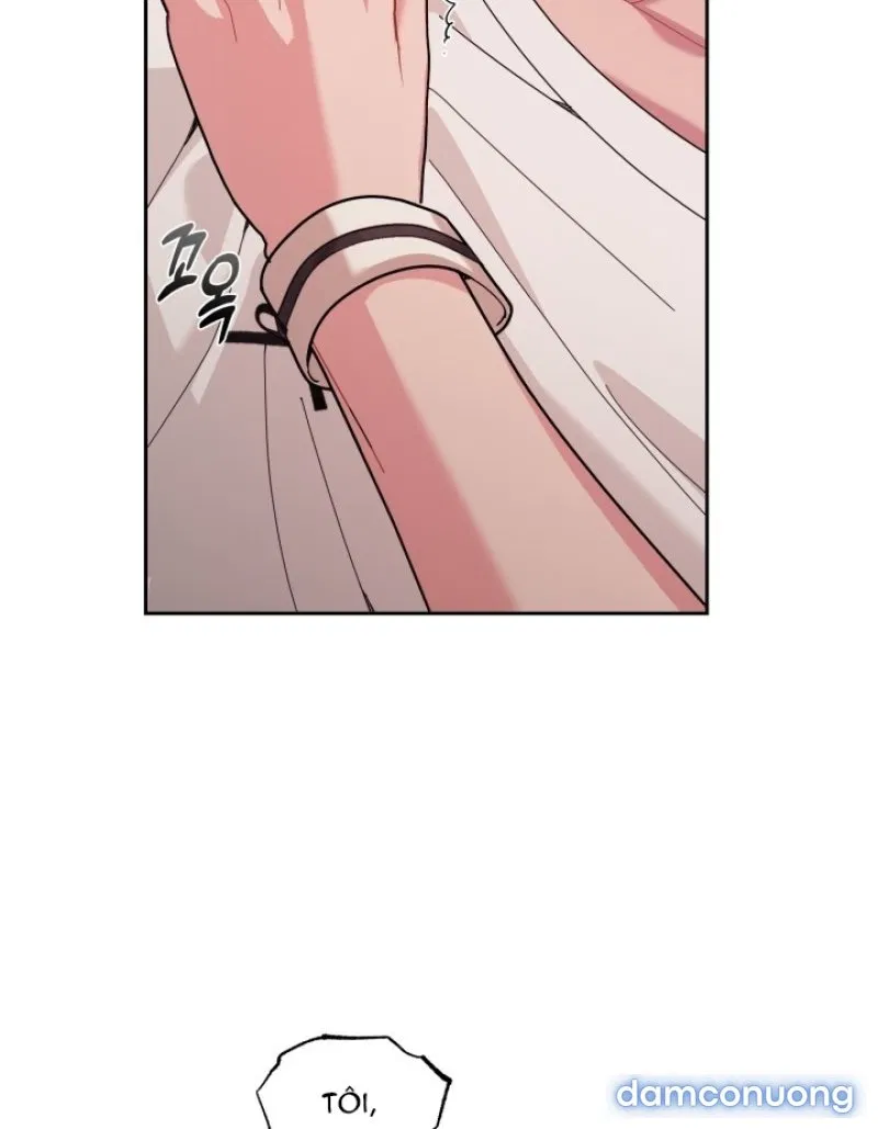 [18+] XX ARCHIVE 