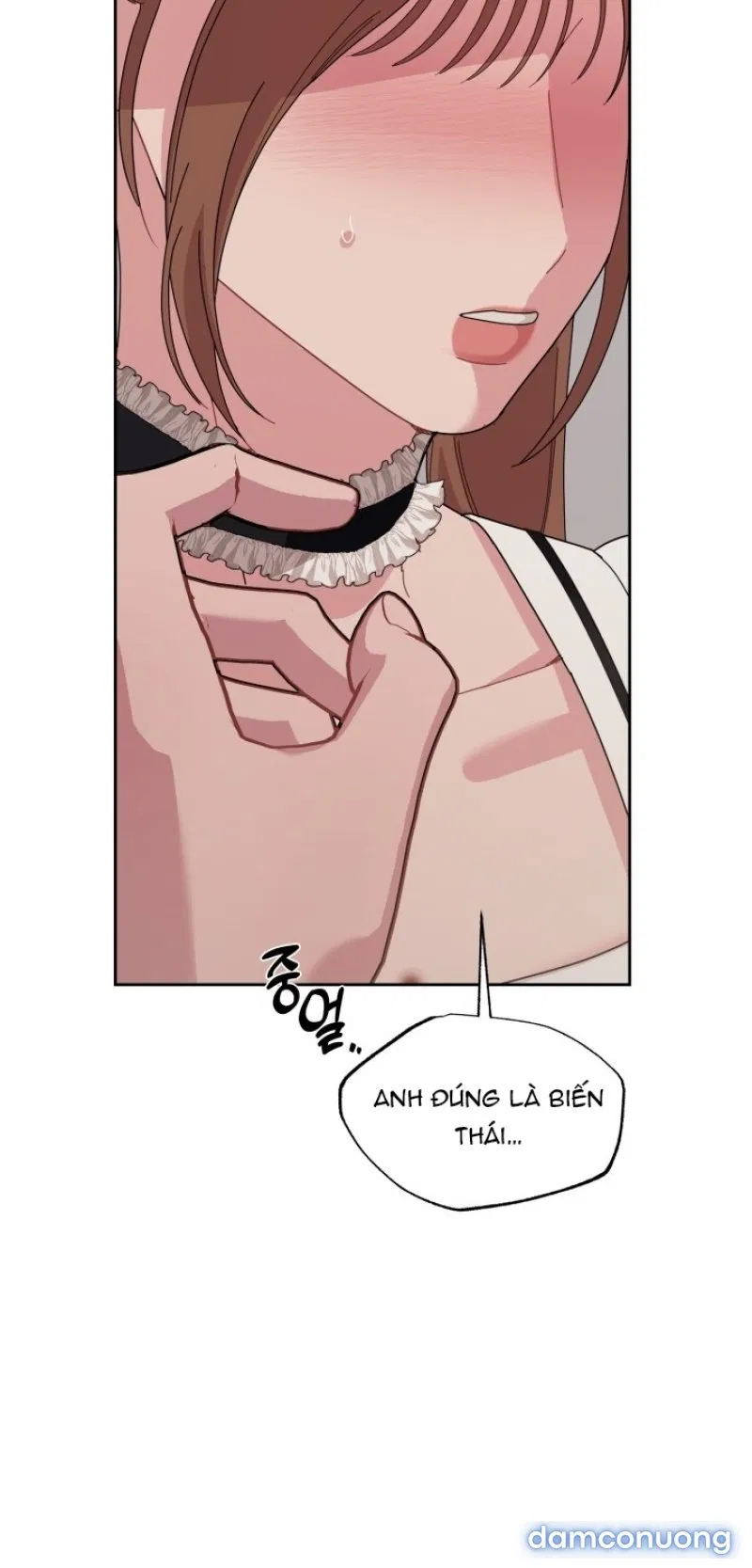 [18+] XX ARCHIVE 