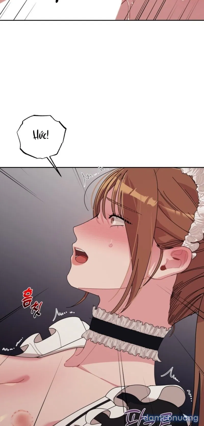 [18+] XX ARCHIVE 