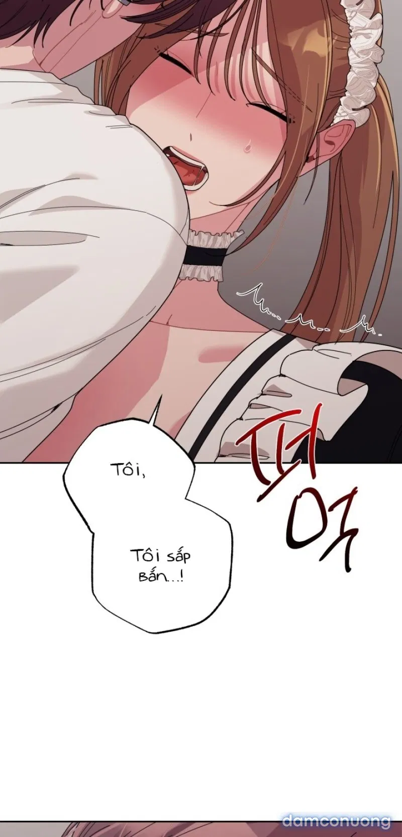 [18+] XX ARCHIVE 
