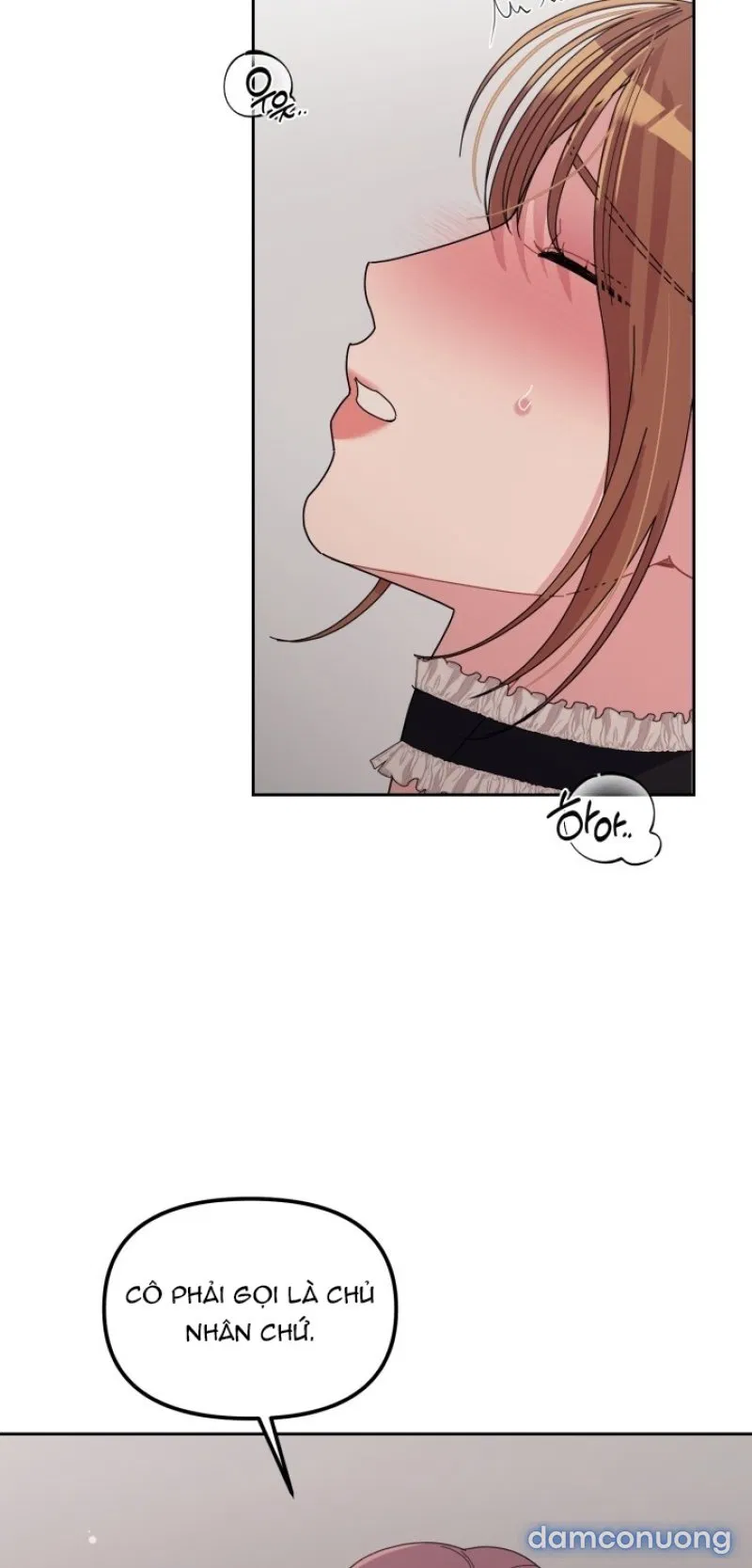 [18+] XX ARCHIVE 