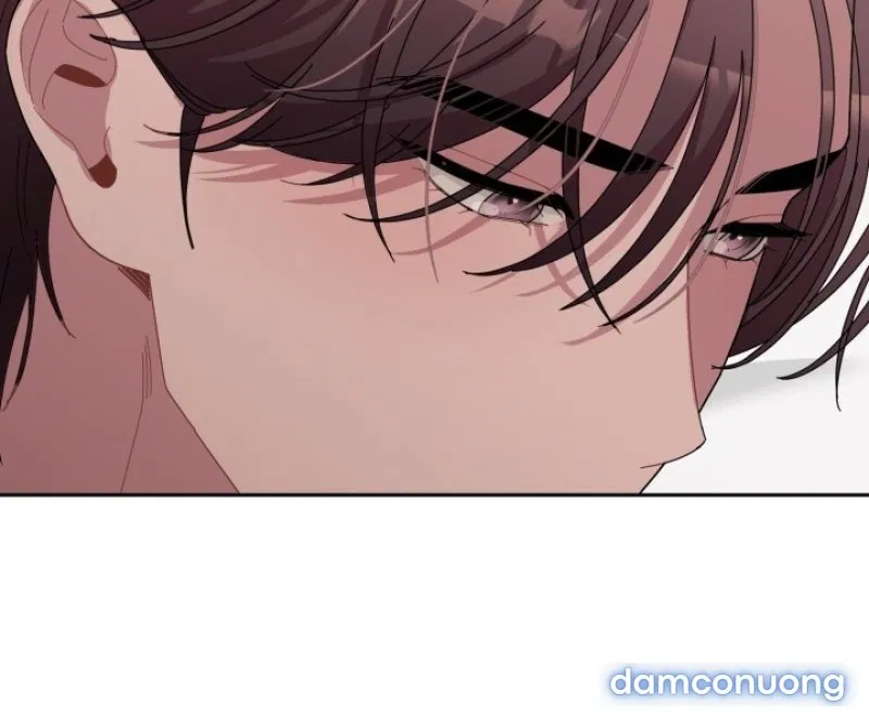 [18+] XX ARCHIVE 
