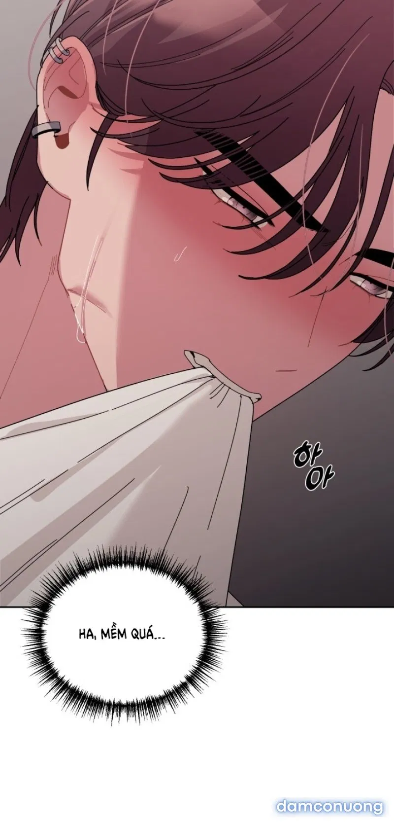 [18+] XX ARCHIVE 