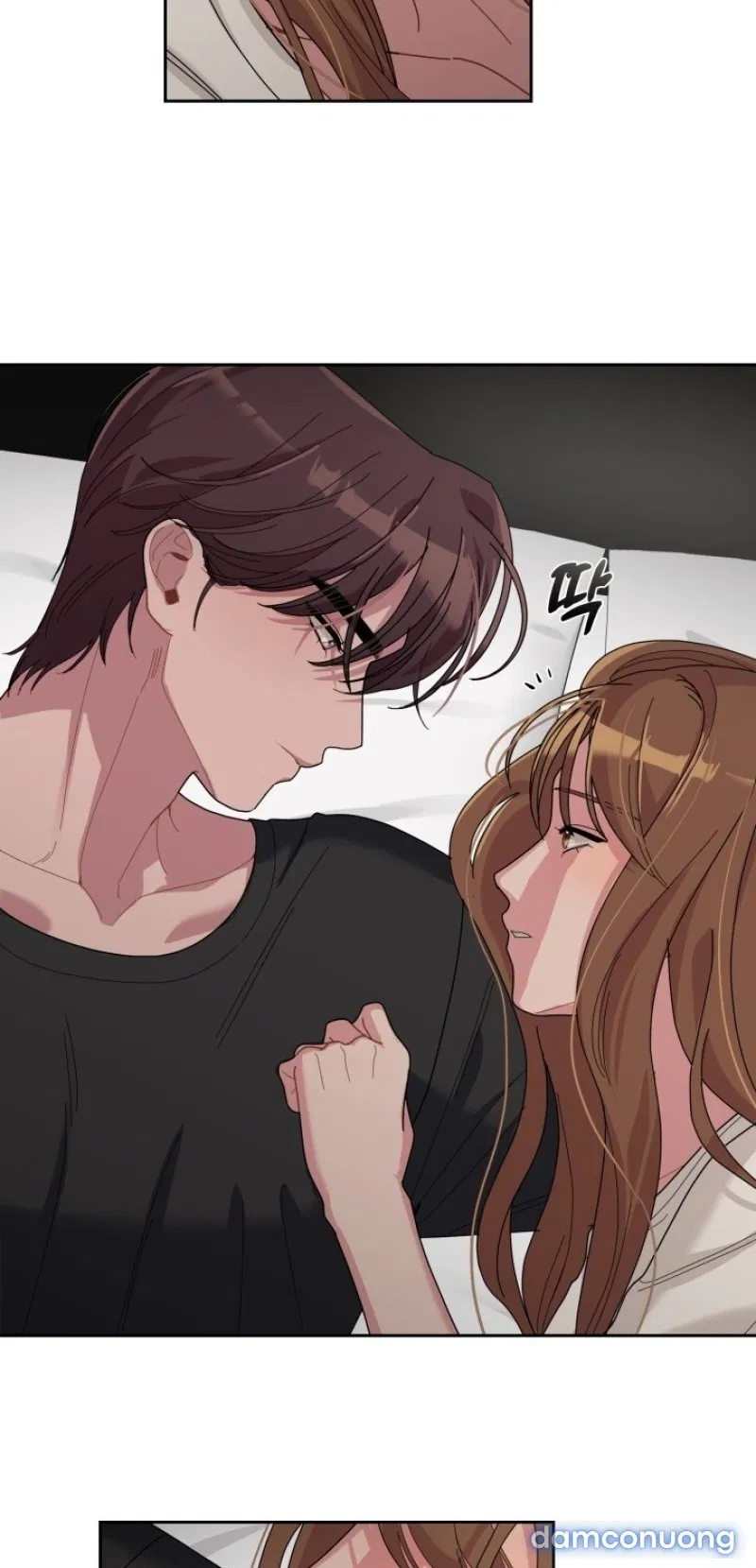 [18+] XX ARCHIVE 