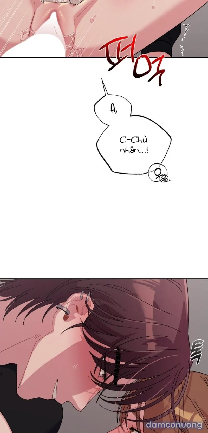 [18+] XX ARCHIVE 