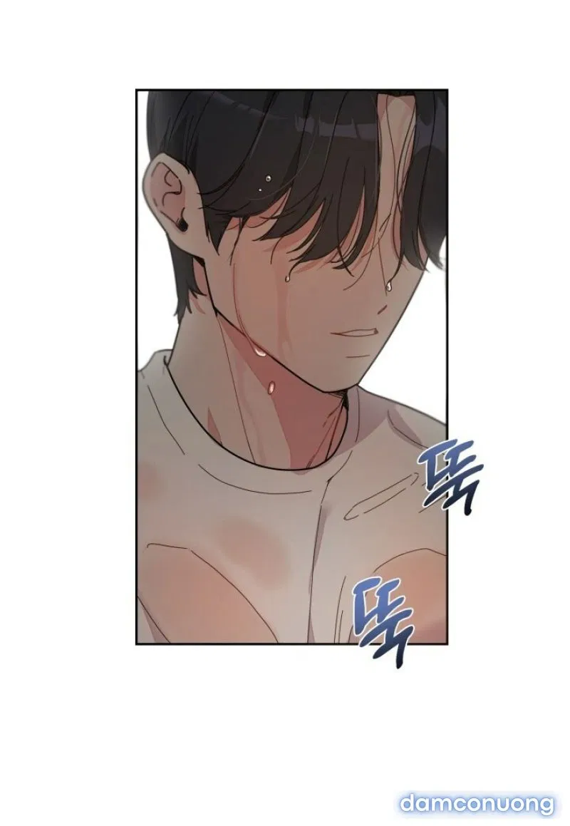 [18+] XX ARCHIVE 